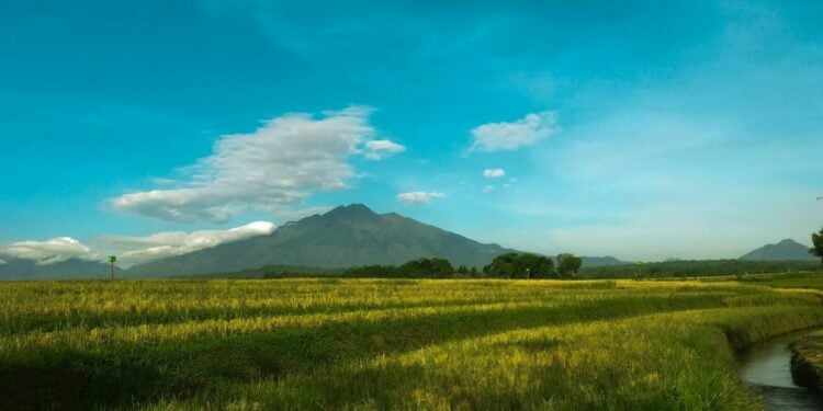 =Jangan Ngaku Mahasiswa Semarang kalau Belum ke Bandungan Semarang, Tempat Andalan Kegiatan Organisasi Kampus Mojok.co