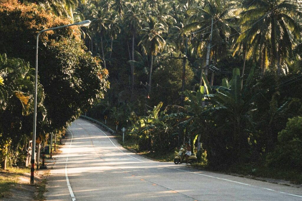 Jalan Nasional Jombang yang Nggak Keurus Jadi Mimpi Buruk Pengendara Mojok.co