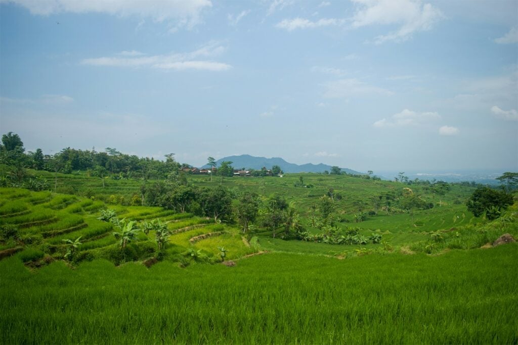 Desa Segaran Kediri, Desa Kecil di Jawa Timur dengan Potensi Besar (Unsplash)