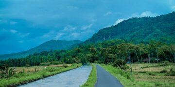 Jalan Raya Kaligesing Kulon Progo, Jalan Paling Indah se-Jogja dengan Pemandangan Sawah, Bukit, Jurang, Tebing, dan Hutan Jadi Satu
