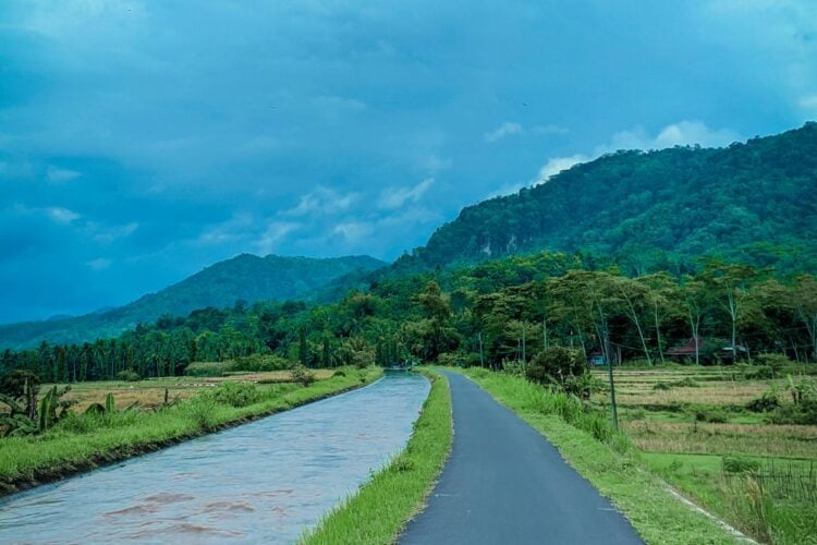 Jalan Raya Kaligesing Kulon Progo, Jalan Paling Indah se-Jogja dengan Pemandangan Sawah, Bukit, Jurang, Tebing, dan Hutan Jadi Satu