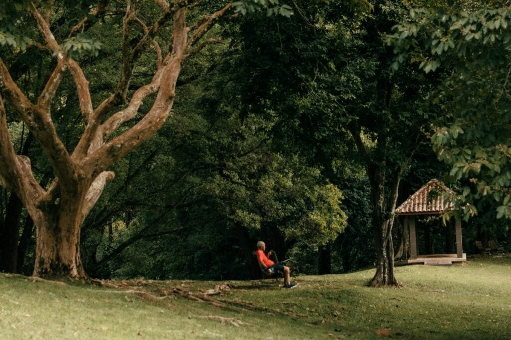 Taman Hutan Klorofil Kendal: Dibangun dengan Anggaran 4 Miliaran, Berakhir Jadi Tempat Orang Pacaran dan Buang Sampah Sembarangan