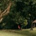 Taman Hutan Klorofil Kendal: Dibangun dengan Anggaran 4 Miliaran, Berakhir Jadi Tempat Orang Pacaran dan Buang Sampah Sembarangan