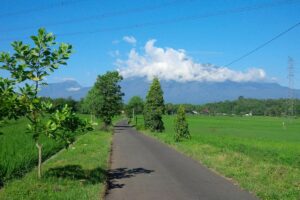 Salatiga, Tempat Slow Living Terbaik di Jawa Tengah