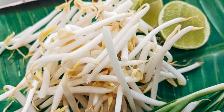 Soto Garing Klaten, Soto Tanpa Kuah yang Ternyata Rasanya Nggak Seburuk Itu