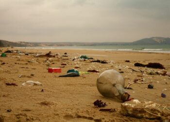 Tidak Ada Satu pun Pantai di Karawang yang Bisa Dibanggakan, Semuanya Kotor Tertimbun Sampah!