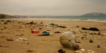 Tidak Ada Satu pun Pantai di Karawang yang Bisa Dibanggakan, Semuanya Kotor Tertimbun Sampah!
