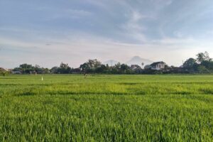 4 Rekomendasi Rumah Makan Jogja dengan Vibes Ndeso yang Antrenya Masuk Akal, Nggak kayak Kopi Klotok
