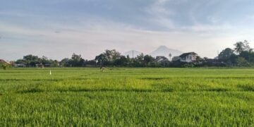 4 Rekomendasi Rumah Makan Jogja dengan Vibes Ndeso yang Antrenya Masuk Akal, Nggak kayak Kopi Klotok