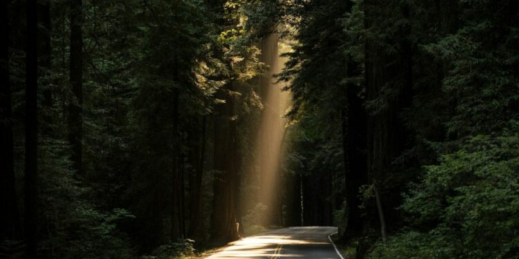 Jalan Magelang-Semarang Adalah Halang Rintang Berkedok Jalan Raya Mojok.co