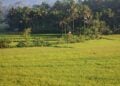 Kedu, Kecamatan Paling Strategis di Kabupaten Temanggung dan Jadi Tempat Tinggal Terbaik