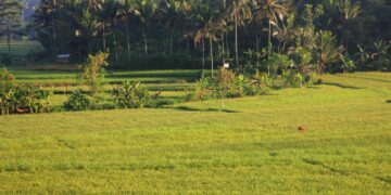 Kedu, Kecamatan Paling Strategis di Kabupaten Temanggung dan Jadi Tempat Tinggal Terbaik