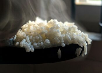 Nasi Krawu, Makanan Khas Gresik yang Seringnya Dilupakan Orang