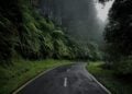 Jalan Pucuk-Blimbing, Jalan Paling Berbahaya di Lamongan yang Rawan Kecelakaan Tunggal