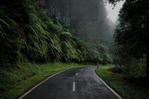 Jalan Pucuk-Blimbing, Jalan Paling Berbahaya di Lamongan yang Rawan Kecelakaan Tunggal