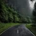 Jalan Pucuk-Blimbing, Jalan Paling Berbahaya di Lamongan yang Rawan Kecelakaan Tunggal