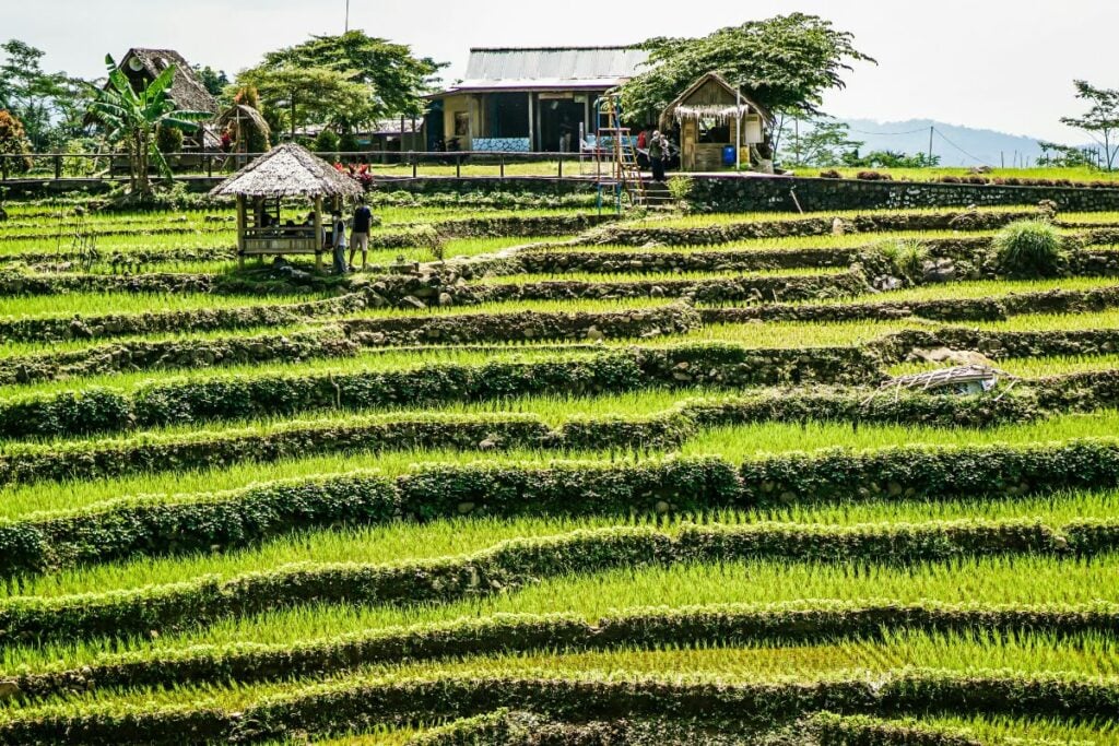 Purwokerto Selatan, Kecamatan Paling Ideal di Banyumas yang Sering Disepelekan