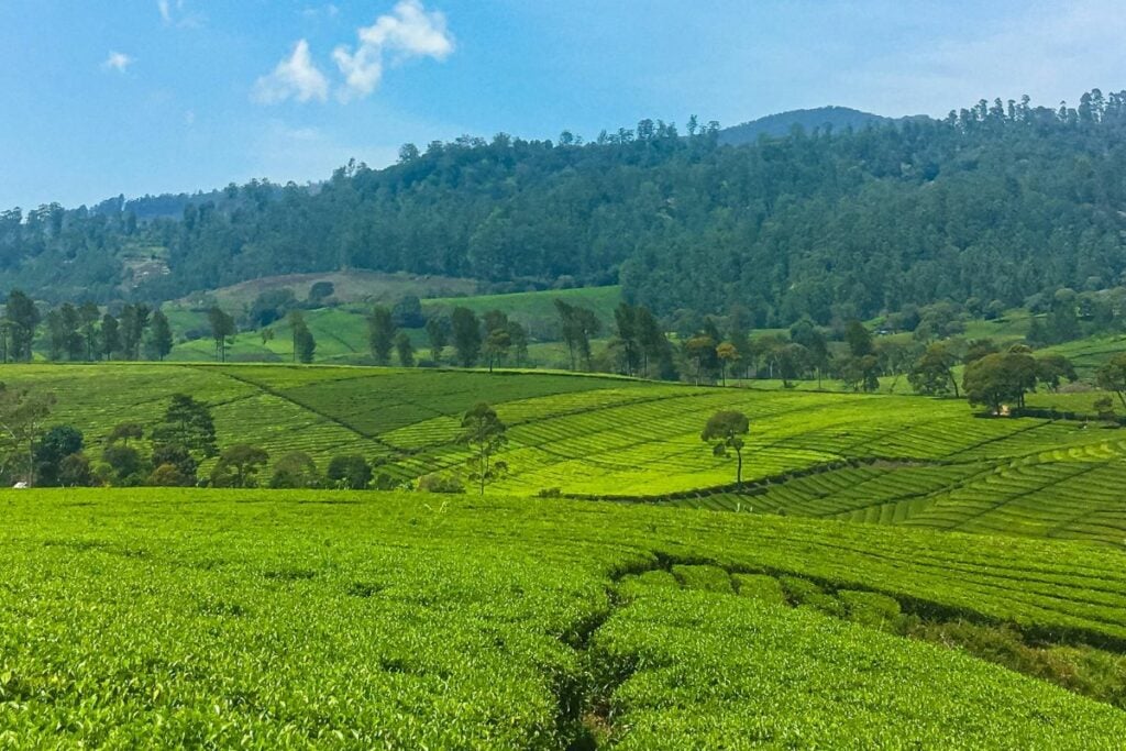 Soreang, Tempat Pensiun Paling Ideal di Kabupaten Bandung