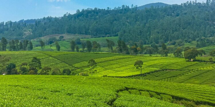 Soreang, Tempat Pensiun Paling Ideal di Kabupaten Bandung