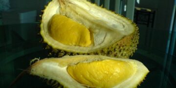 Mencicipi Durian Musang King yang Muncul dalam Serial Upin Ipin: Enak sih, tapi Bikin Saya Trauma