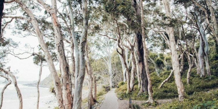 Jogging Track Sungai Brantas Mojokerto Sarang Mesum Pemuda (Unsplash)