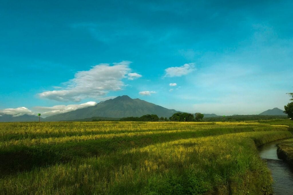 3 Tempat Wisata Kabupaten Semarang yang Jarang Dikunjungi Warga Lokal: Mahalnya Harga Tiket Tak Terjangkau UMK Kabupaten