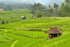 Desa Rajun Memang Banyak Kekurangan, tapi Paling Nyaman Se-Sumenep
