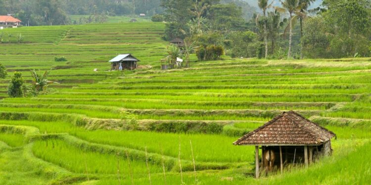 Desa Rajun Memang Banyak Kekurangan, tapi Paling Nyaman Se-Sumenep Mojok.co