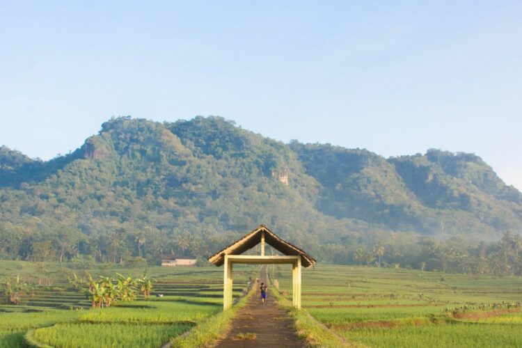 Orang Kota Nggak Cocok Menghabiskan Masa Pensiun di Desa, Nggak Usah Sok-sokan Mojok.co