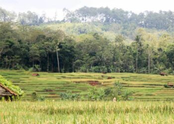 Majenang, Kecamatan Paling Mentereng Se-Cilacap Bagian Barat walau Letaknya di Pinggiran Mojok.co