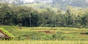 Majenang, Kecamatan Paling Mentereng Se-Cilacap Bagian Barat walau Letaknya di Pinggiran Mojok.co