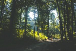 4 Hal yang Menghancurkan Kenyamanan Pengunjung yang Datang ke Babakan Siliwangi (Baksil) Bandung