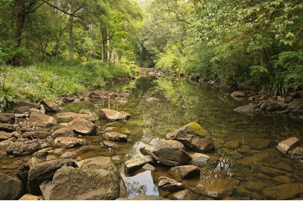 Katanya Karawang Mau Jadi Kota Metropolitan, tapi kok Masih Ada Warga yang MCK di Sungai?