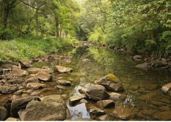 Katanya Karawang Mau Jadi Kota Metropolitan, tapi kok Masih Ada Warga yang MCK di Sungai?