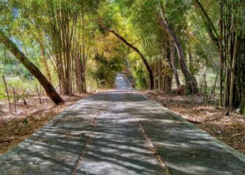 Gunungkidul Darurat Penerangan Jalan: Pembangunan Hanya Terpusat di Kota, Warga Pinggiran Bertaruh Nyawa