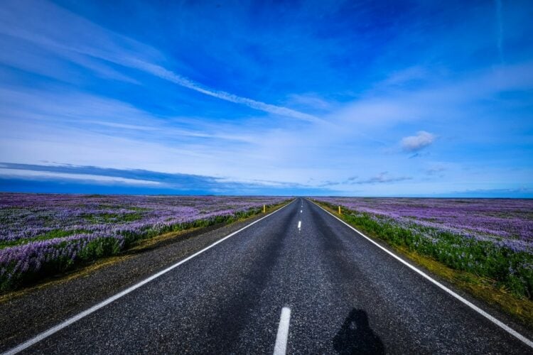 Jalan Daendels Jogja Kebumen Makin Bahaya, Bikin Nelangsa (Unsplash)