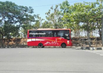 Trans Semarang, Cumi Darat yang Sesungguhnya. Ditungguin Nyembur, tapi kalau Disalip Nyebelin