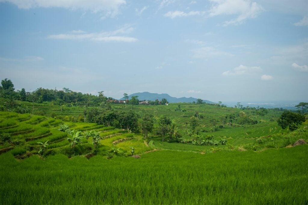 Pengalaman Saya Tinggal di Kandangan Kediri, Kecamatan yang Kerap Dipertanyakan Identitasnya karena Beda Sendiri