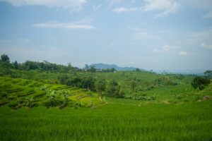Pengalaman Saya Tinggal di Kandangan Kediri, Kecamatan yang Kerap Dipertanyakan Identitasnya karena Beda Sendiri