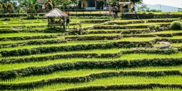 Tanpa Kecamatan Sokaraja, Banyumas Hanyalah Remah-Remah Kue Lebaran. Nggak Menarik Sama Sekali!