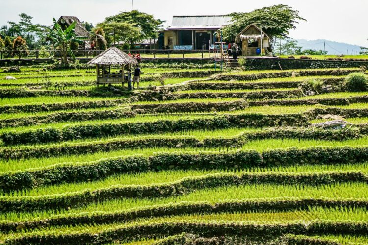 Tanpa Kecamatan Sokaraja, Banyumas Hanyalah Remah-Remah Kue Lebaran. Nggak Menarik Sama Sekali!