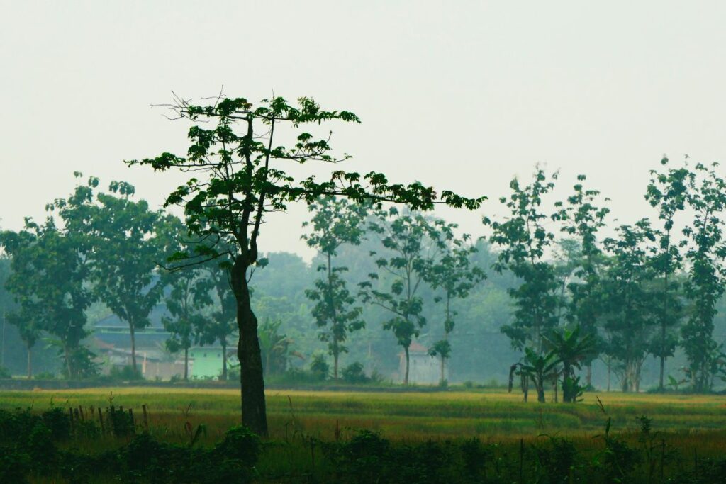 Bukateja, Kecamatan Paling Penting bagi Purbalingga