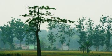 Bukateja, Kecamatan Paling Penting bagi Purbalingga