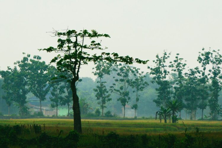 Bukateja, Kecamatan Paling Penting bagi Purbalingga