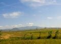 Desa Kedung Wedus Kabupaten Tegal: Dulu Dikenal sebagai Sarangnya Maling, Menggandeng TNI sebagai Solusi