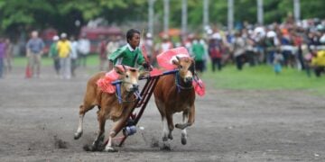 Kecamatan Ganding Sumenep Madura Ditakuti karena Rawan Maling padahal Punya 7 Kelebihan yang Bikin Bangga Warga