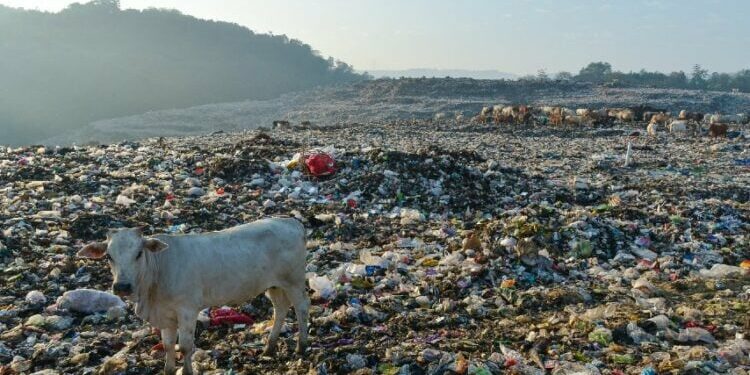 Derita Punya Rumah di Dekat Stadion Mandala Krida Jogja yang Dikepung Sampah (Hariyanto Surbakti via Shutterstock.com)