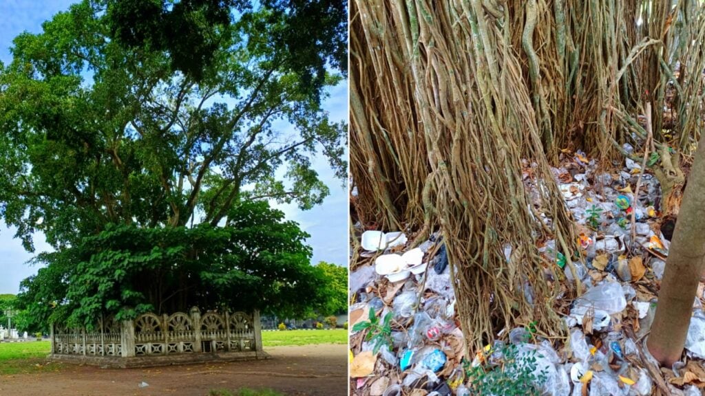 Sisi Gelap Alun-Alun Kidul Jogja yang Selama Ini Tidak Terdeteksi (Foto milik penulis)