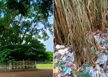 Sisi Gelap Alun-Alun Kidul Jogja yang Selama Ini Tidak Terdeteksi (Foto milik penulis)