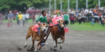 Warga Bangkalan Madura Lebih Butuh Transportasi Antar Kabupaten di Madura daripada Bangkalan-Surabaya Mojok.co